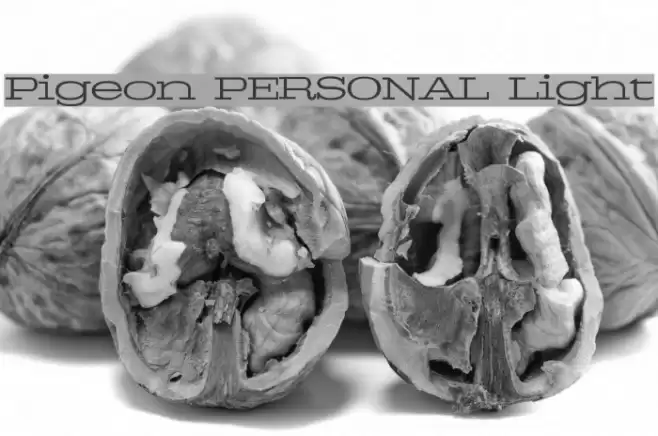 Pigeon PERSONAL Light Font examples