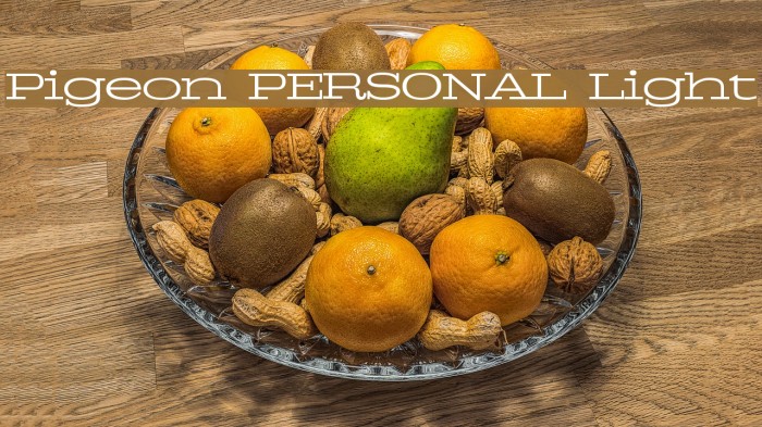 Pigeon PERSONAL Light Example 2