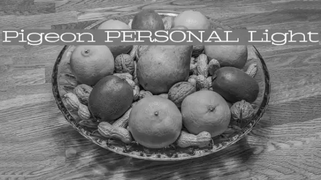 Pigeon PERSONAL Light Font examples