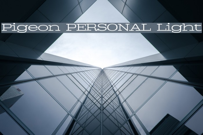 Pigeon PERSONAL Light Example 3