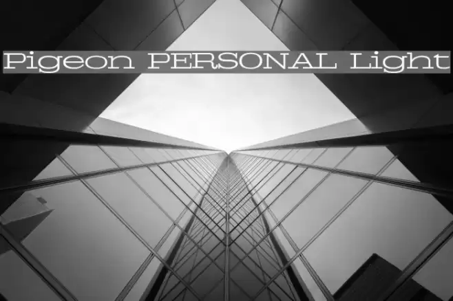 Pigeon PERSONAL Light Font examples
