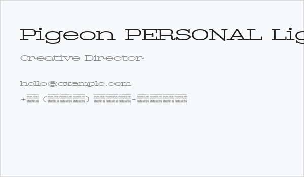 Pigeon PERSONAL Light Business Card