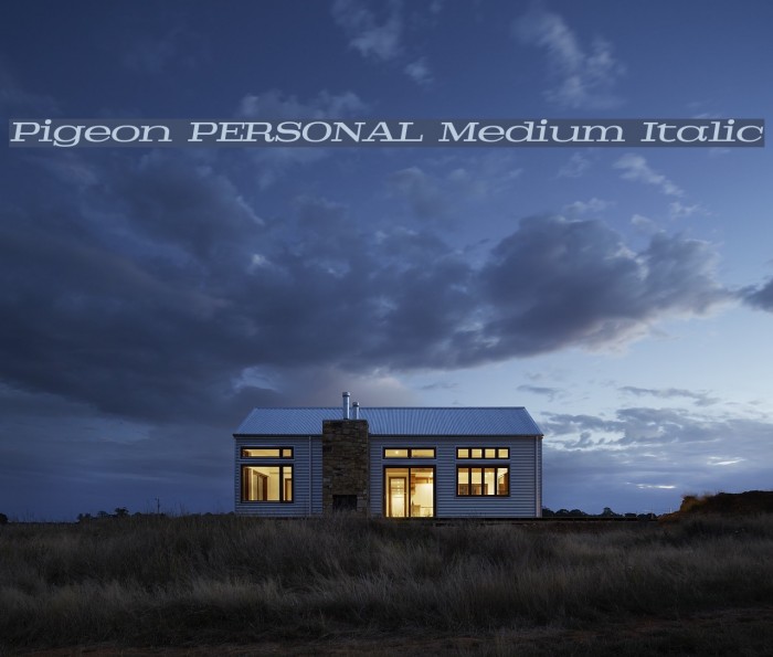 Pigeon PERSONAL Medium Italic Font examples