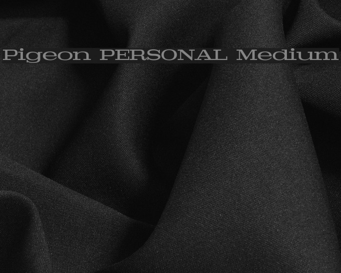 Pigeon PERSONAL Medium Font examples