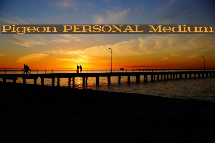 Pigeon PERSONAL Medium Font examples