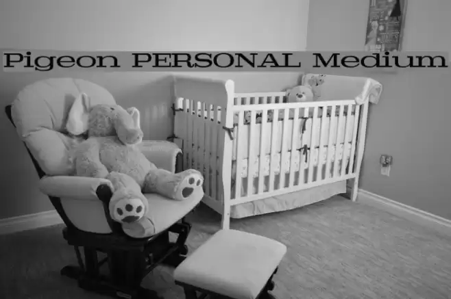 Pigeon PERSONAL Medium Font examples