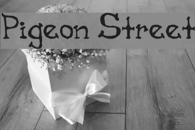 Pigeon Street Font examples