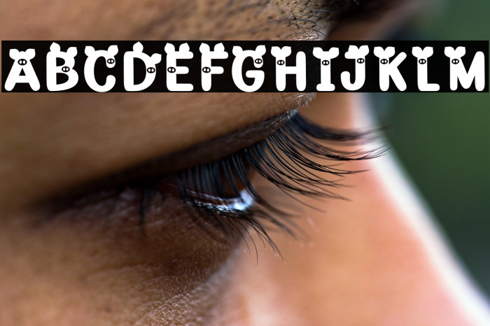 Piggy Demo Example 2