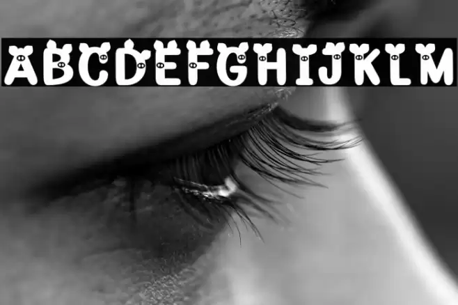 Piggy Demo Font examples