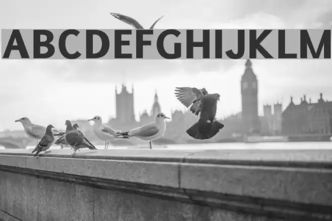 Pigiarniq Heavy フォント examples