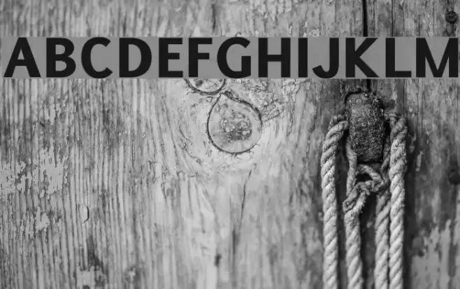 Pigiarniq Heavy フォント examples