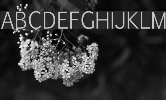 Pigiarniq Light Font examples