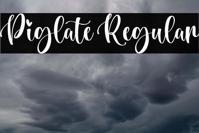 Piglate Regular Example 2