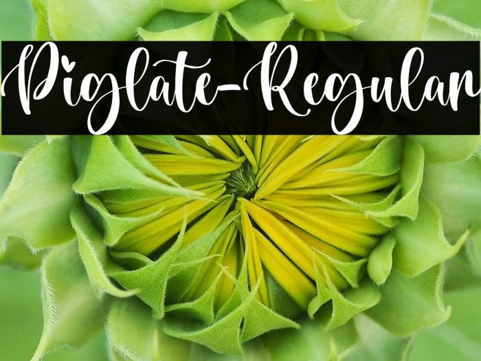 Piglate-Regular Example 3