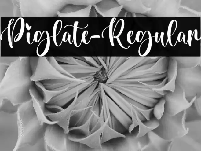 Piglate-Regular Font examples