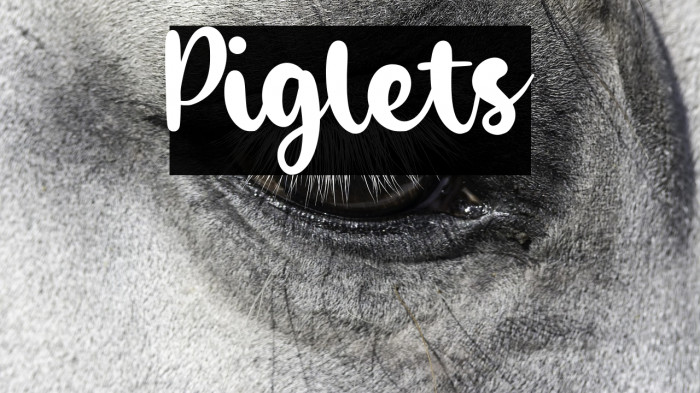 Piglets Example 3