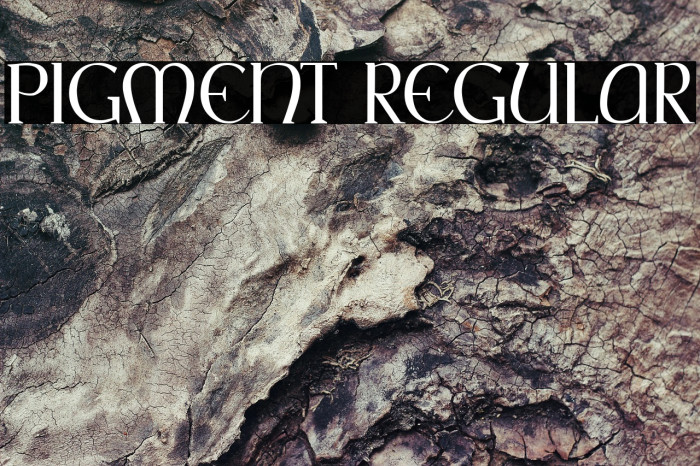 Pigment Regular Example 2