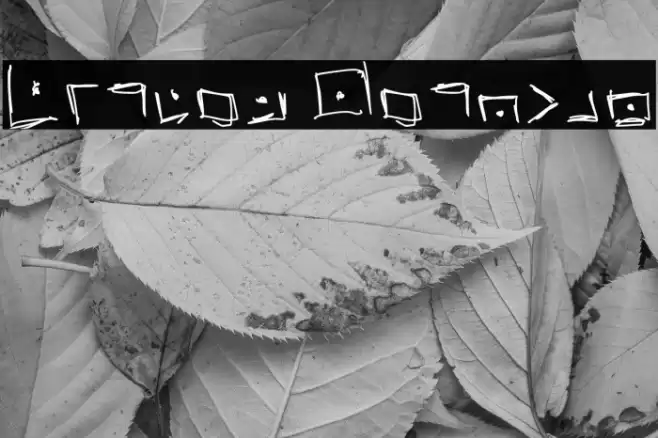 Pigpen Regular Font examples