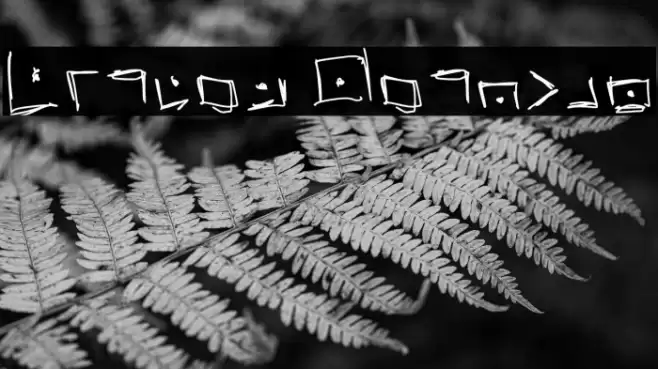 Pigpen Regular Font examples