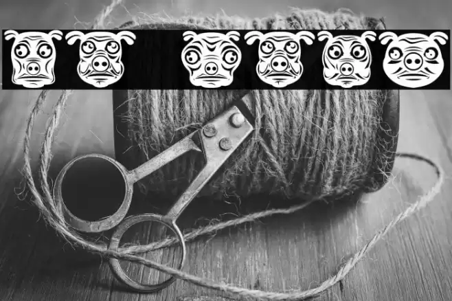 Pigs Regular Font examples