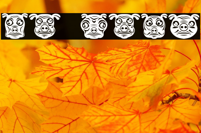 Pigs Regular Example 2