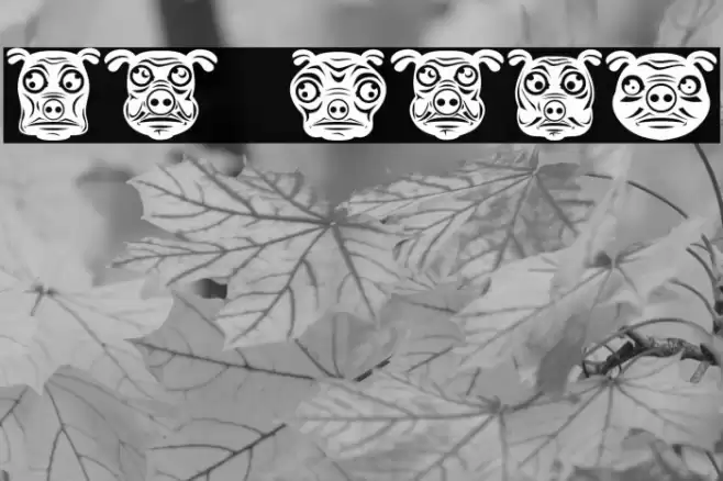 Pigs Regular Font examples