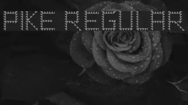 Pike Regular Font examples