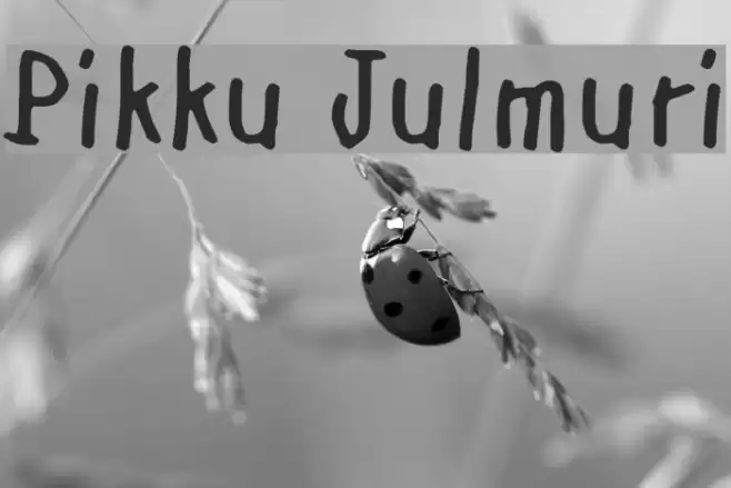 Pikku Julmuri Font examples