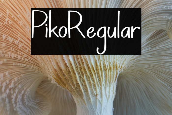 PikoRegular Example 1