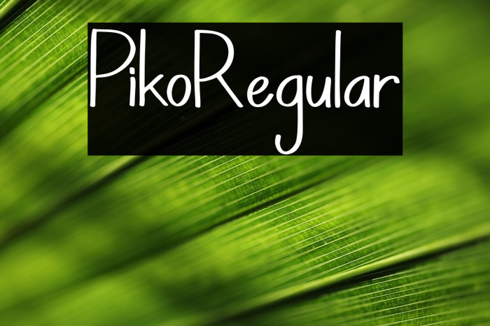 PikoRegular Example 2