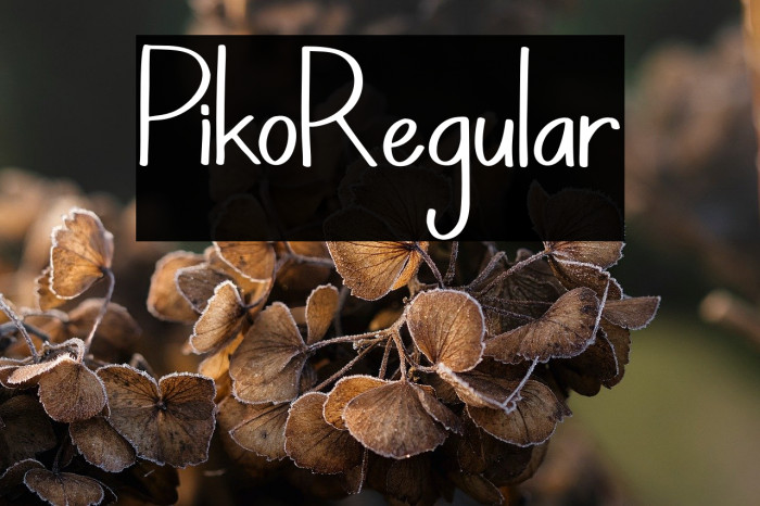 PikoRegular Example 3