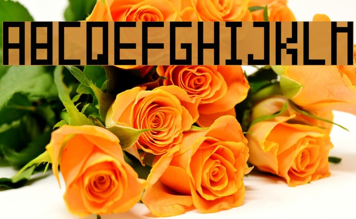 Piksalet Font examples