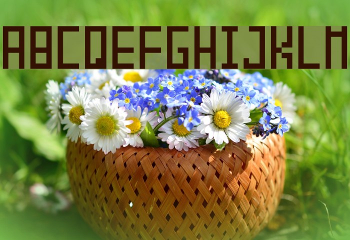 Piksalet Font examples