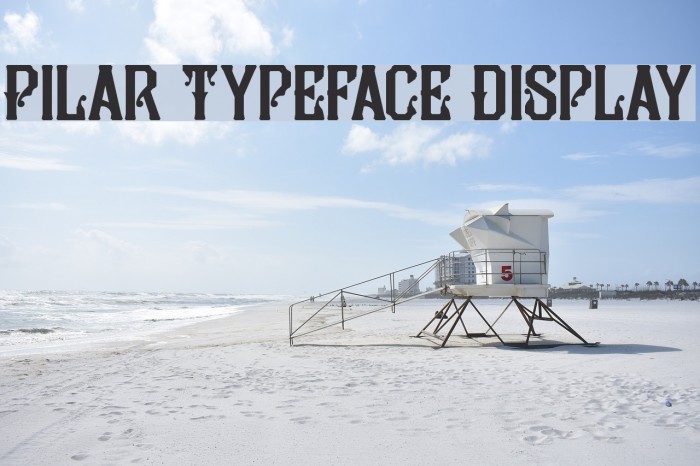 Pilar Typeface Display Font examples