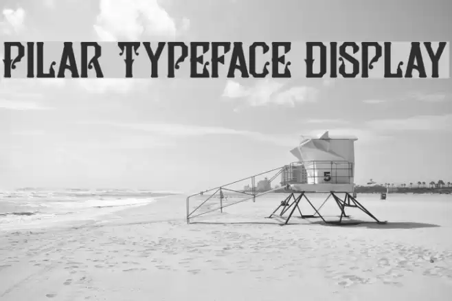 Pilar Typeface Display Fuentes examples