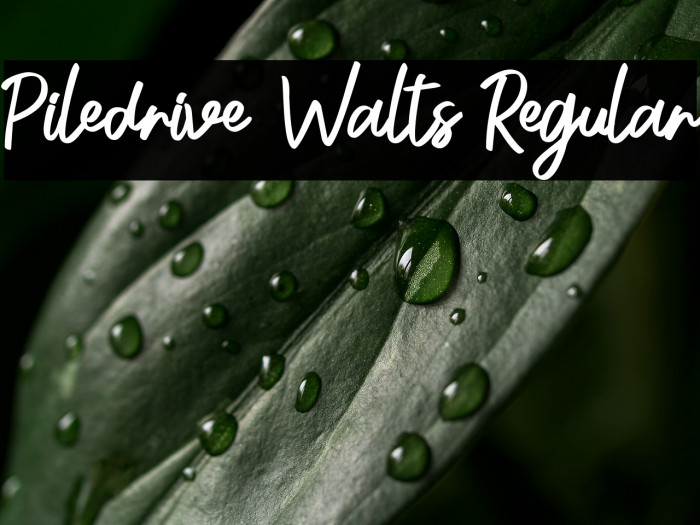 Piledrive Walts Regular Example 2