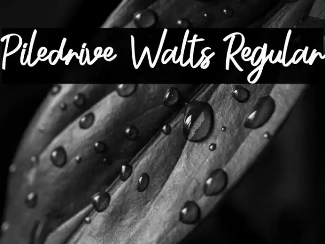 Piledrive Walts Regular خط examples