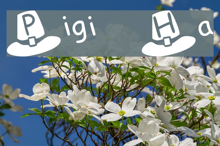 Pilgrim Hats Font examples