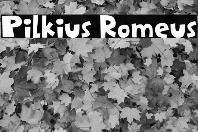 Pilkius Romeus Font examples