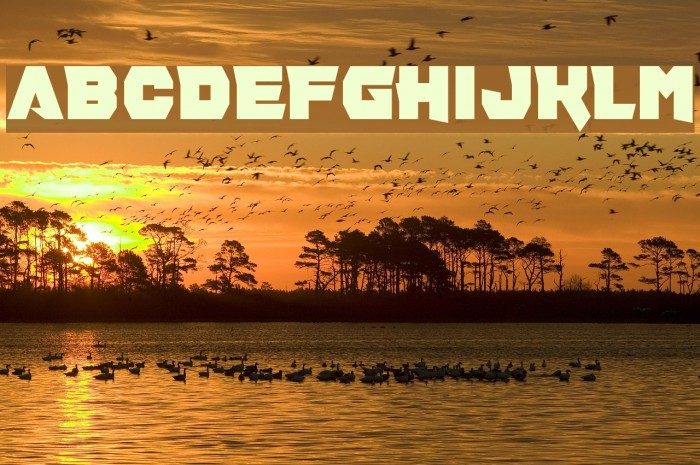 Pill Anthropic Example 1