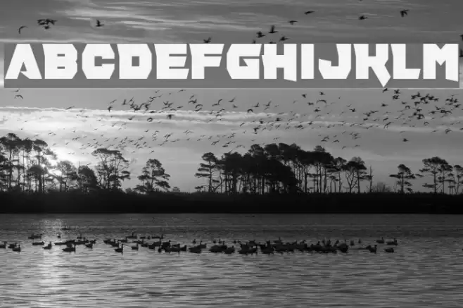 Pill Anthropic Font examples