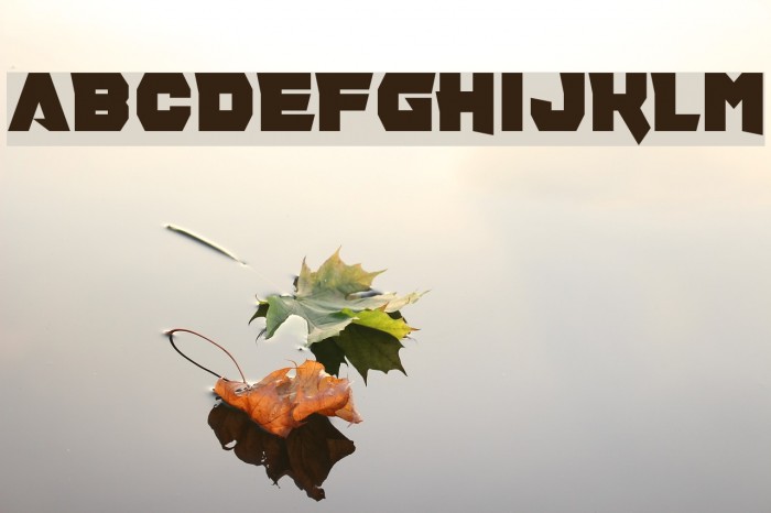 Pill Anthropic Example 3