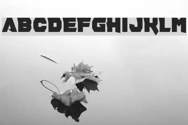 Pill Anthropic Font examples