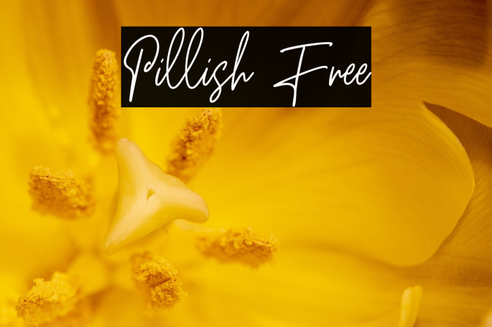 Pillish Free Example 1