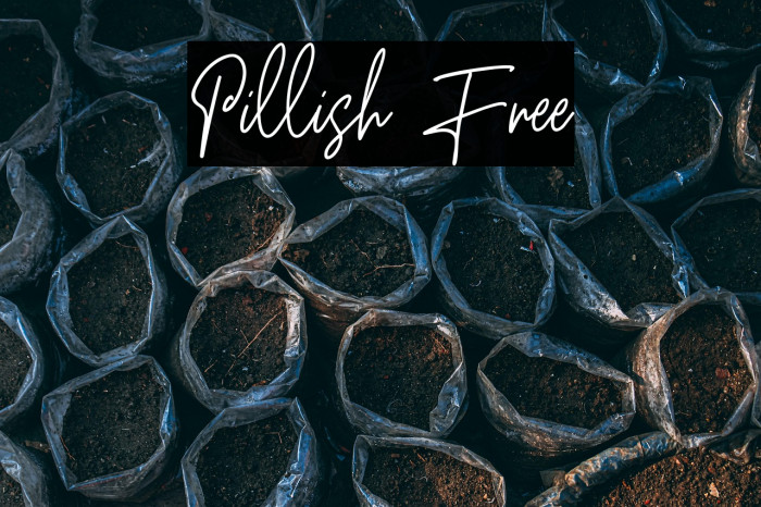 Pillish Free Example 3