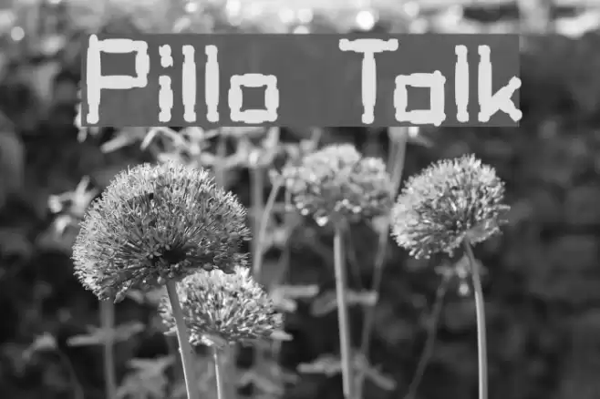 Pillo Talk Font examples