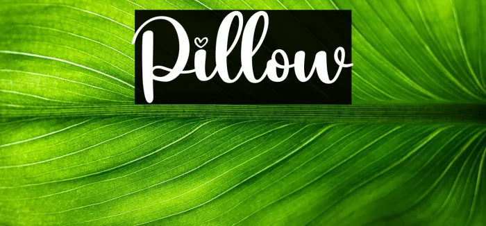 Pillow Example 1