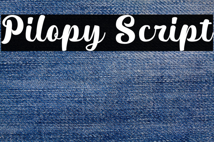 Pilopy Script Example 1