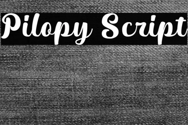 Pilopy Script Font examples