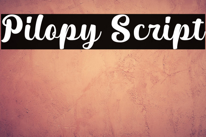 Pilopy Script Example 2